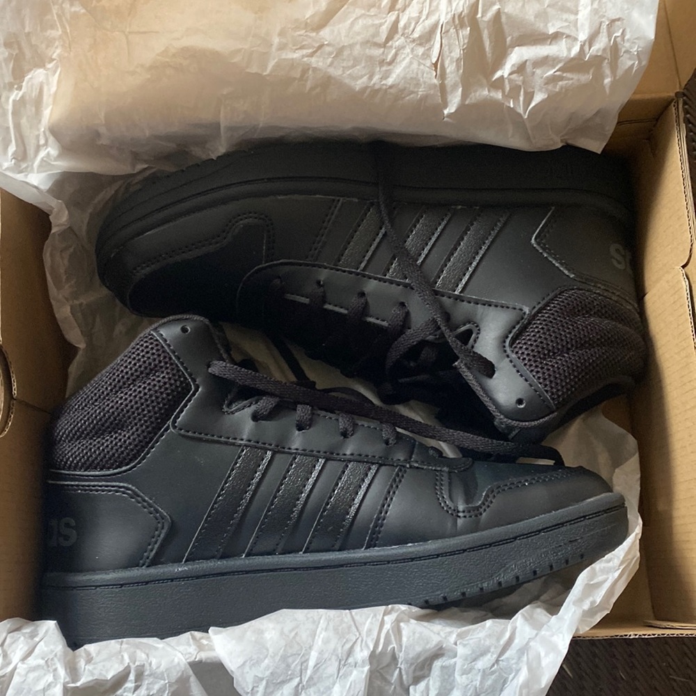 Hoops 2.0 mid womens 6